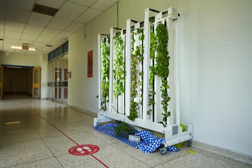 educational rack in charlan hallway