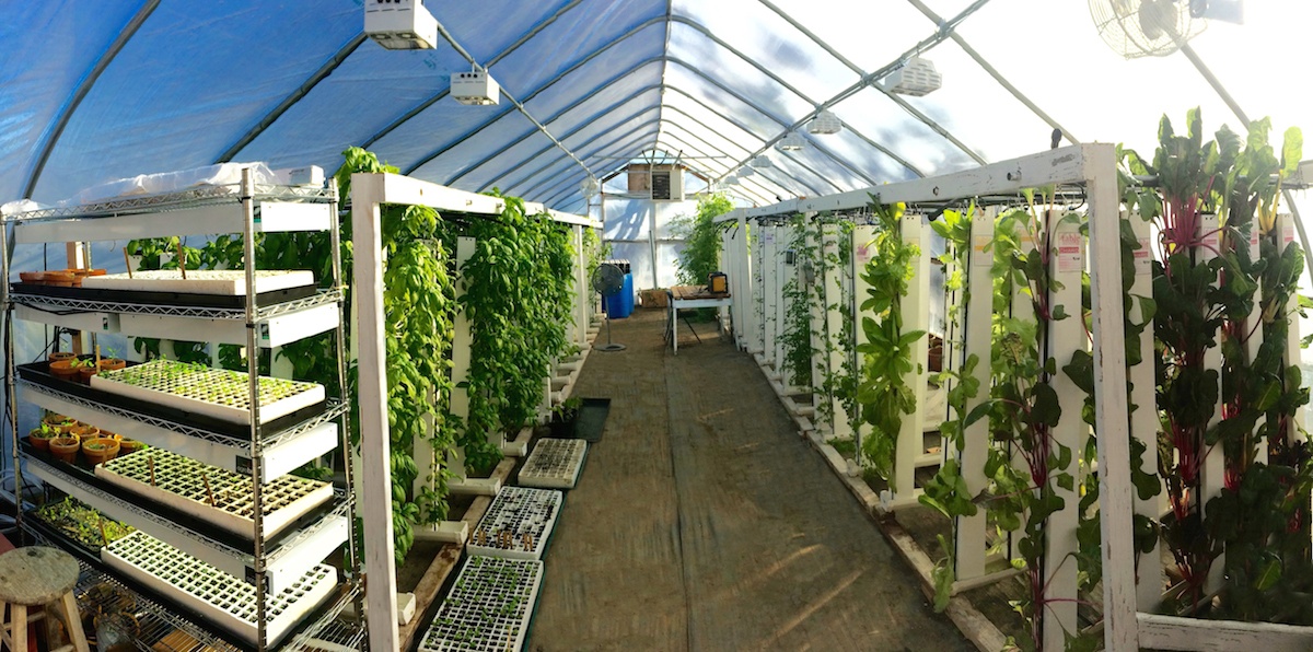 Fable_Greenhouse_Pano.jpg