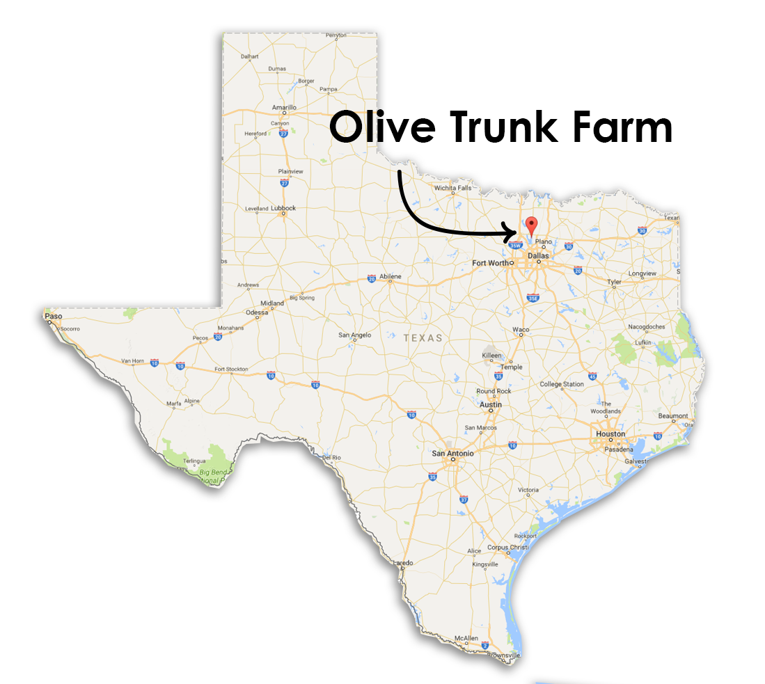 Olive-Trunk-map-location.png