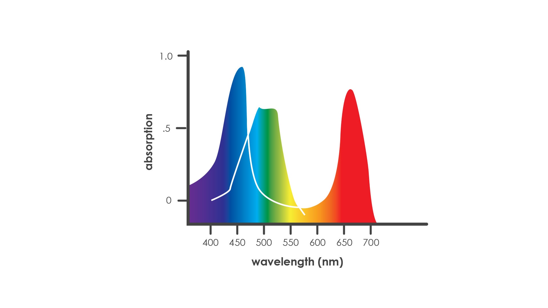 Wavelength-spectrum-PAR.jpg