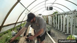 planting a zipgrow gif