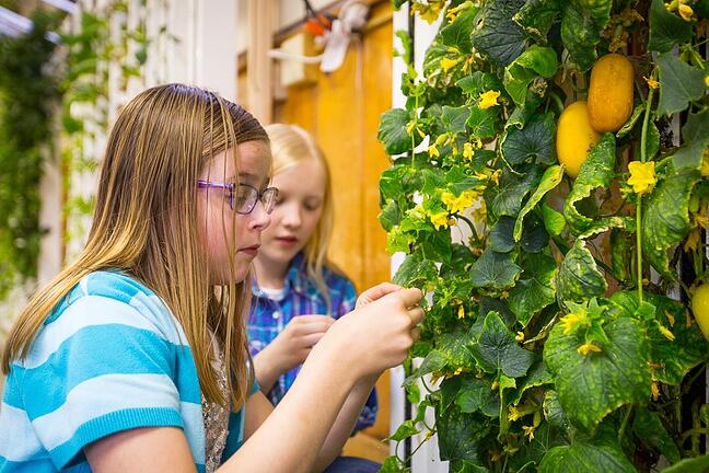 Students examining leaves on a ZipGrow Education Rack