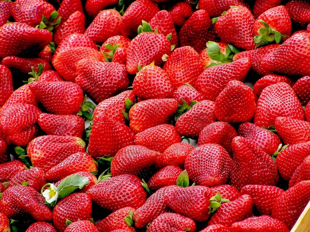 strawberries-99551_1280
