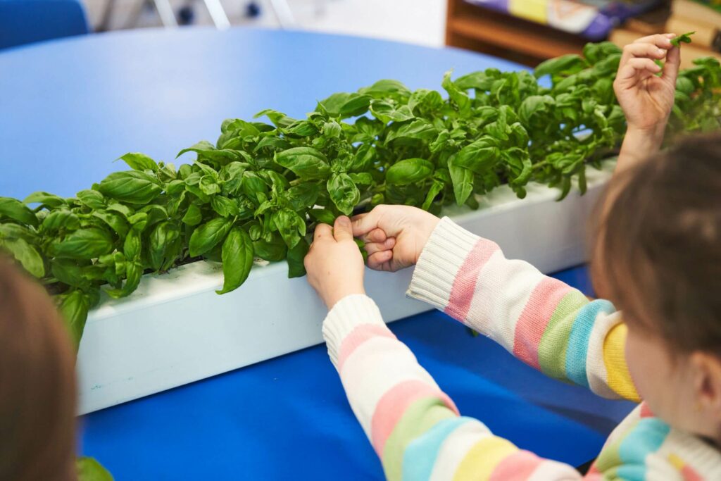 ZipGrow Education Rack  Hydroponics Systems for Schools