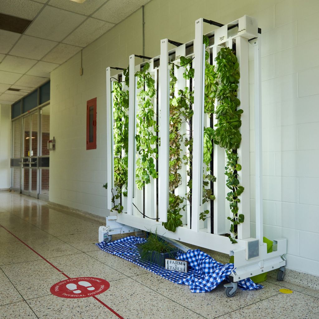 zipgrow education rack in a school hallway