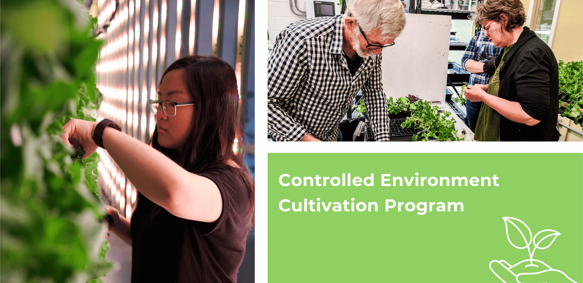 controlled environment cultivation program
