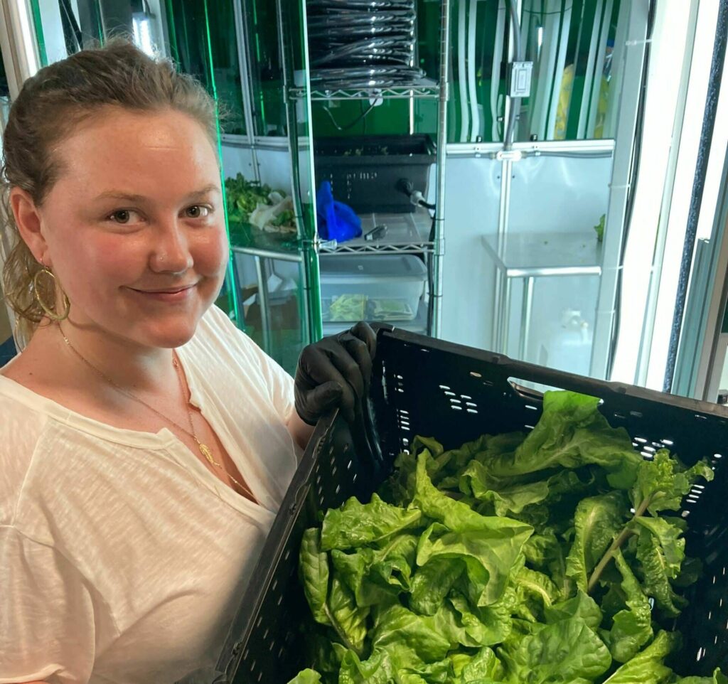 girl holding a basket of harvested lettuce