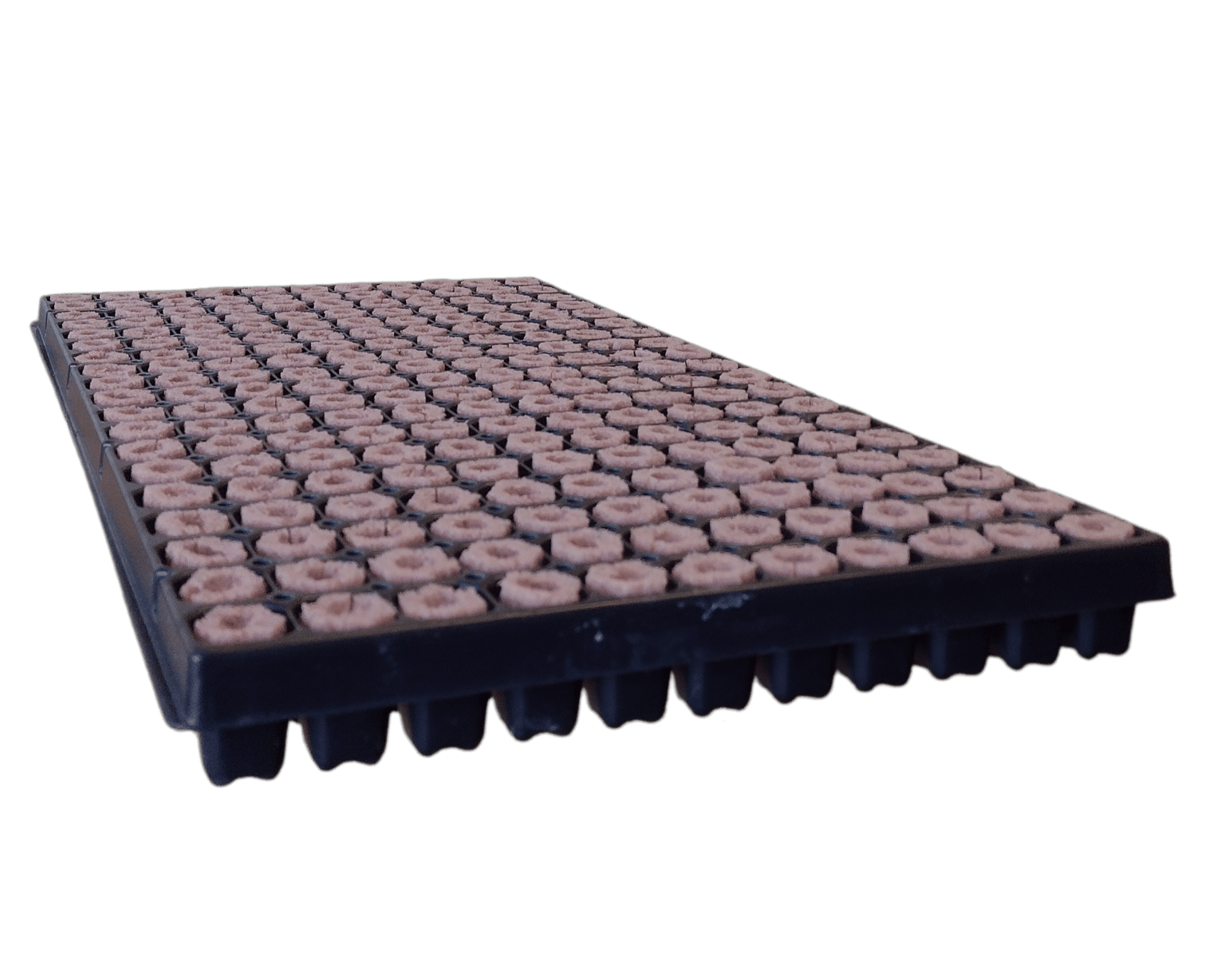 1 seedling tray for growfoam plugs with 2135-01 plugs.