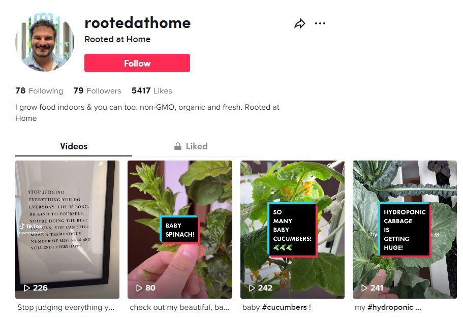 rootedathome tiktok account screenshot