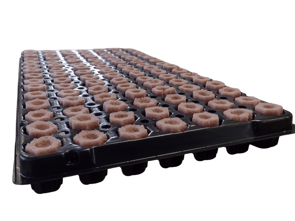 seedling tray with growfoam 2740-01 plugs