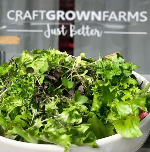 picture of lettuce in a bowl with Craft Grown Farms