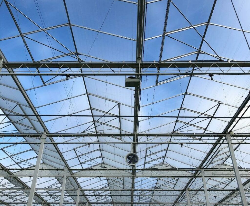 ceiling of the greenhouse