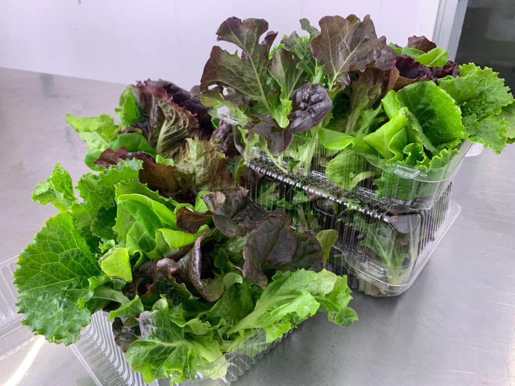 spring mix in a selling box