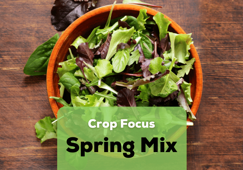 blog cover of spring mix