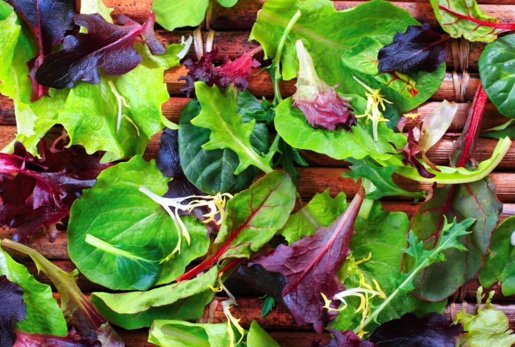 picture of spring mix