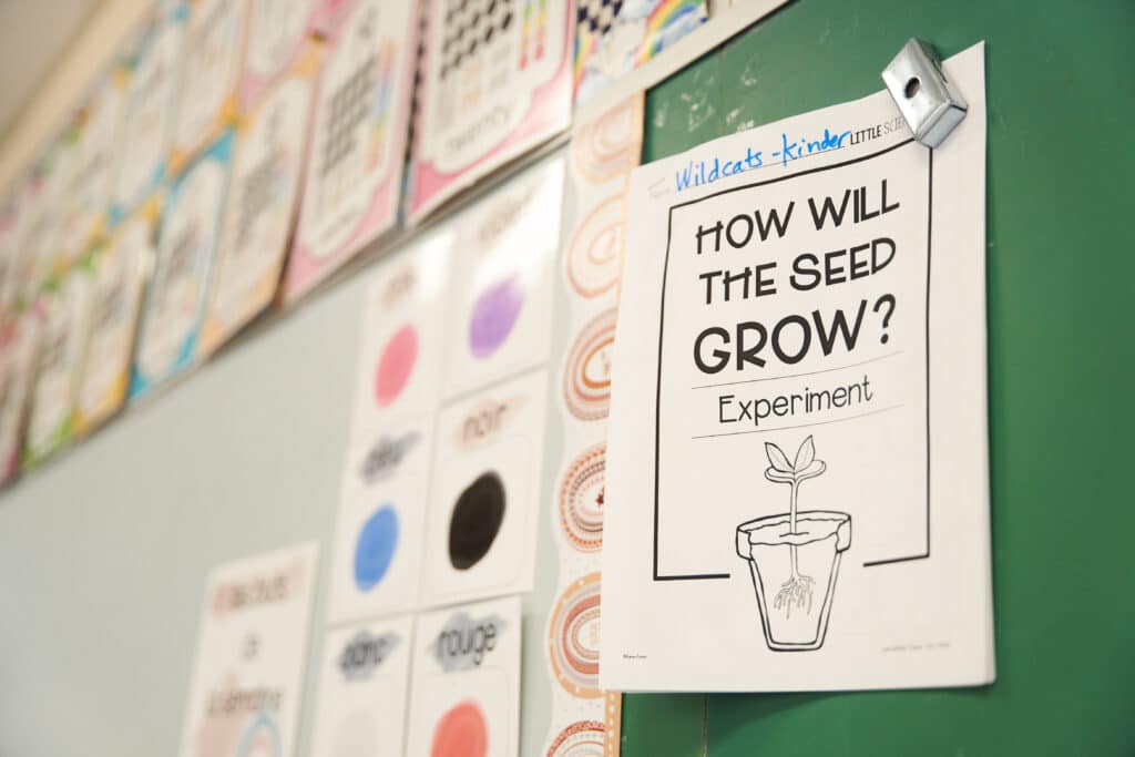 Poster in classroom of "how will a seed grow?