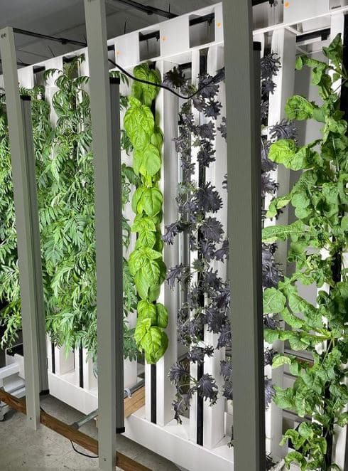 variety of plants growing on an educational rack