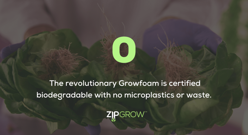 fact on growfoam