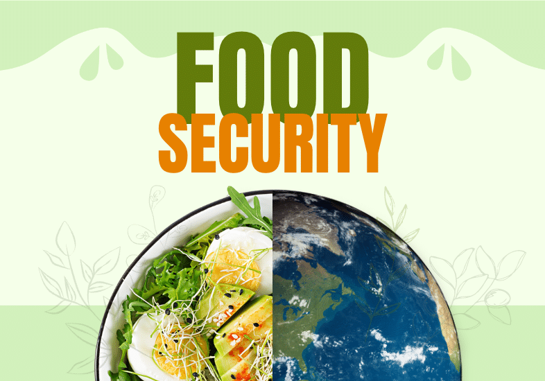food security blog cover picture
