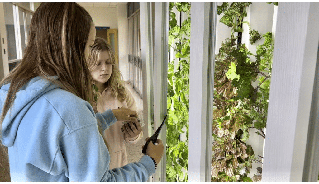 Students cutting leaves off an education.