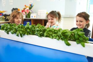 Students sitting at a blue table with a ZipGrow tower with basil