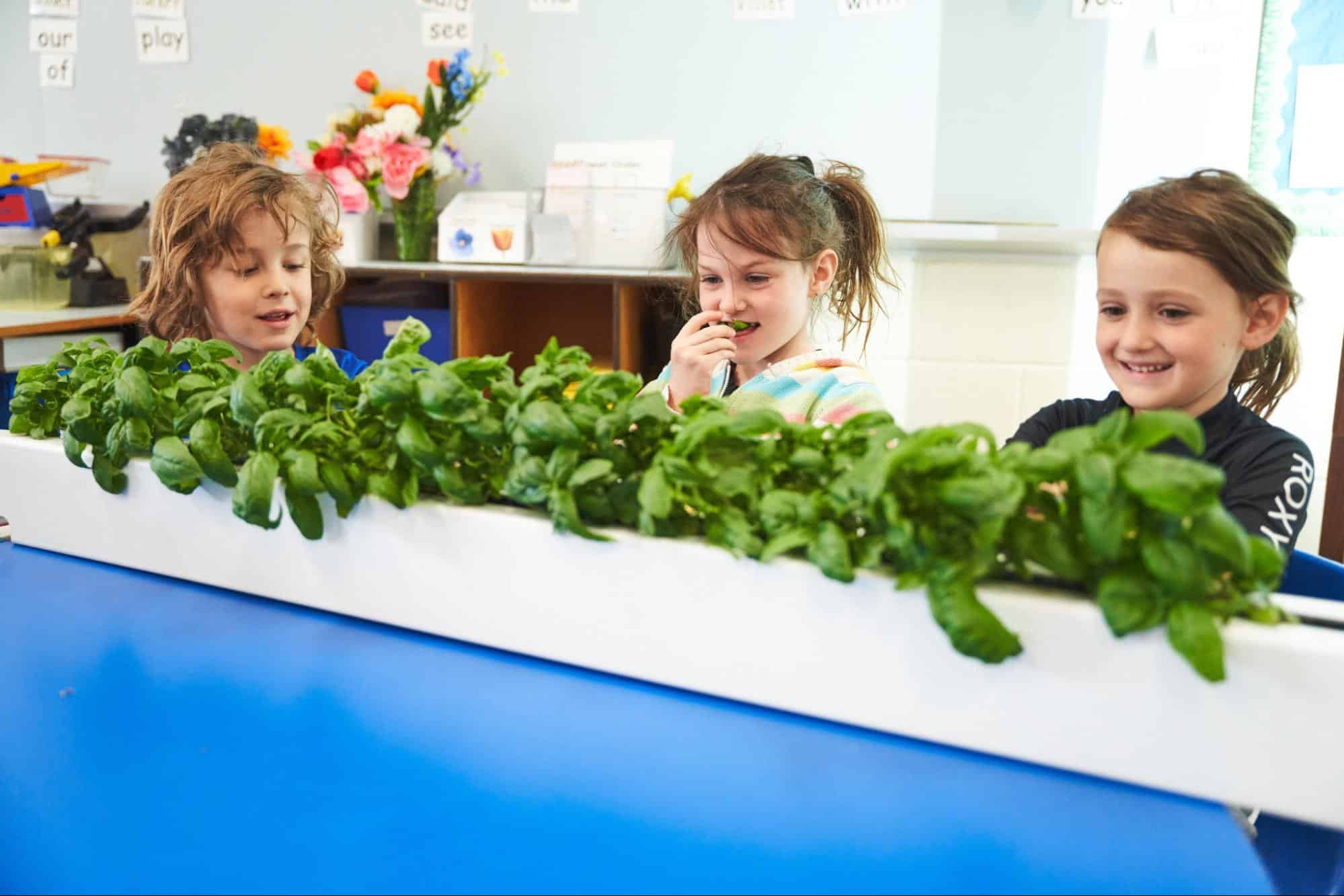 The Importance of Cleaning Your Veggies Before Eating Them - Garden Gate  Guides