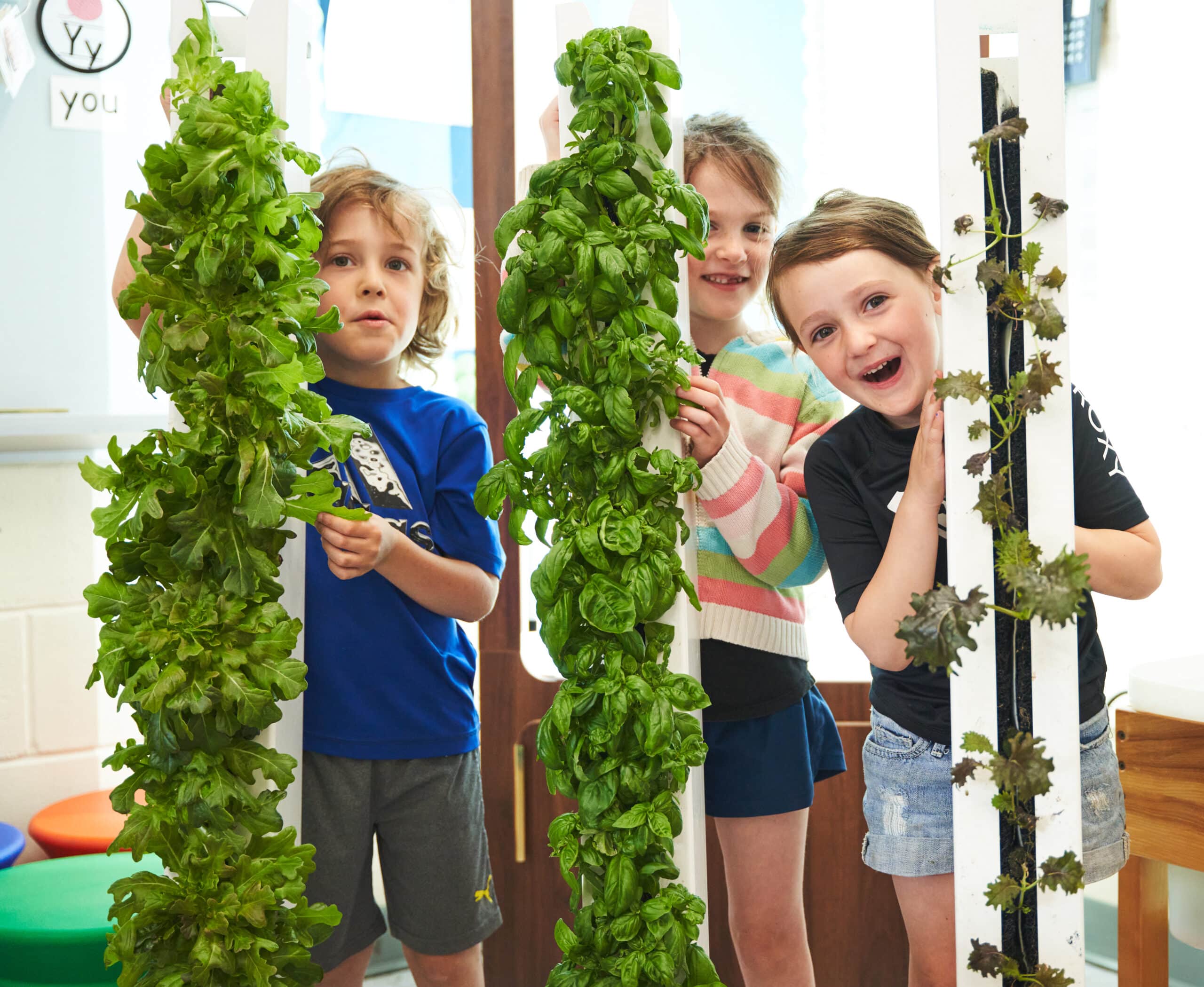 Grants For STEM Education 2024 ZipGrow Inc   A7R01920 Scaled 