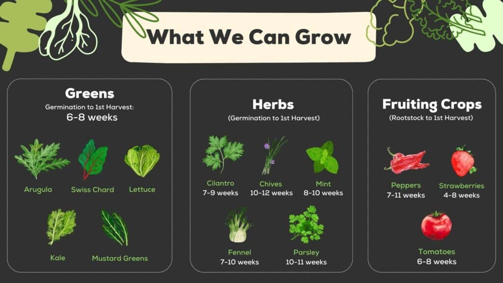 infographic of what you can grow in a container farm.