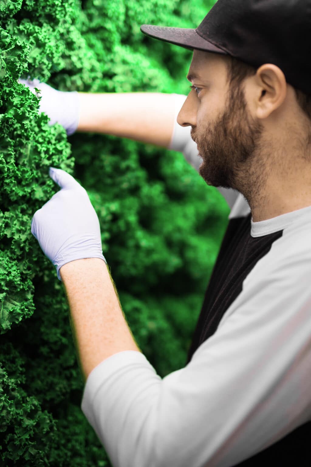 ZipPod Container Farm by ZipGrow | The Future of Container Farming