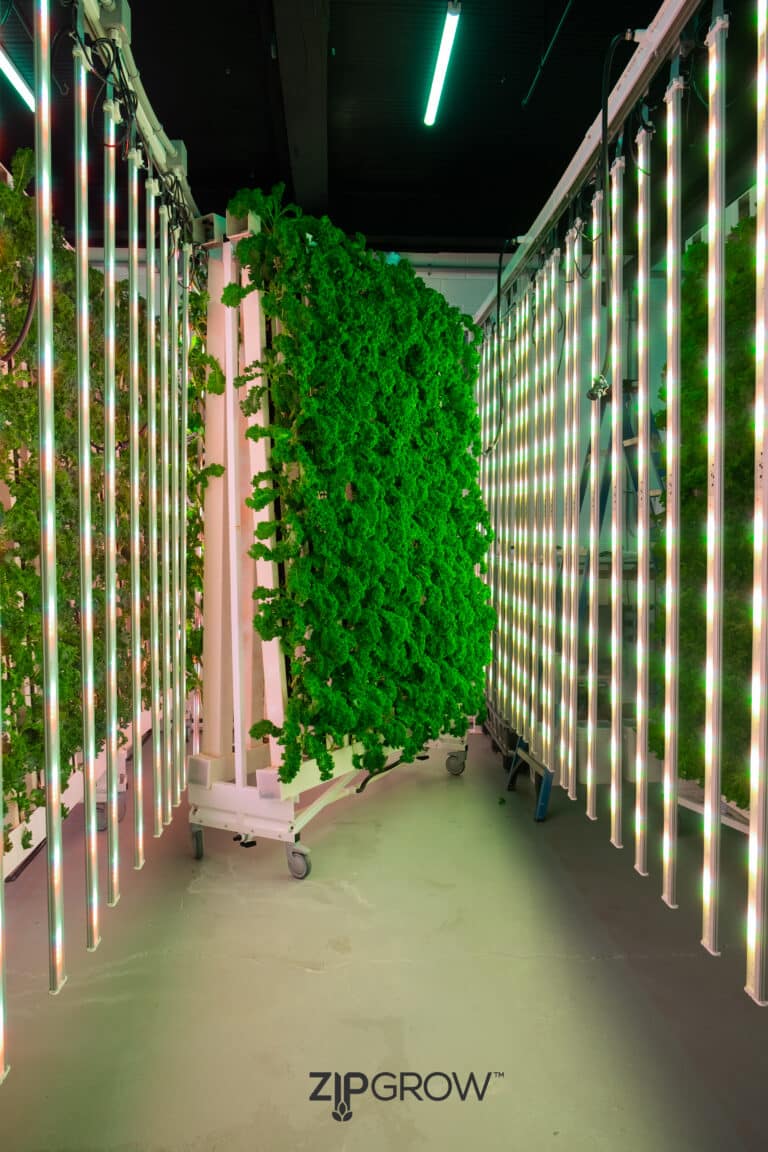 ziprack for a ZipGrow ZipFarm in the middle of an vertical farm aisle.