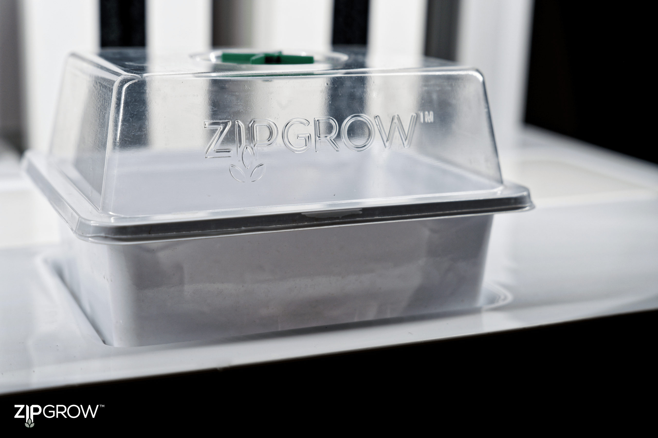 Seedling Tray