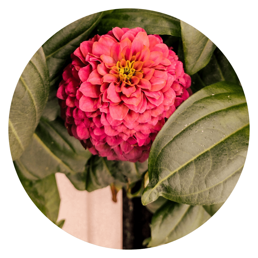 ZipGarden™ | ZipGrow Inc.